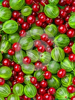 Background of different berries and fruits.