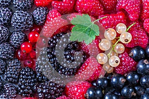 Background of different berries: raspberries, blackberries, currants. Top view