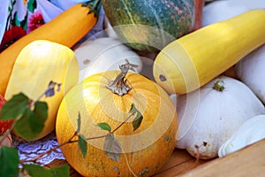 Background with Different pumpkins