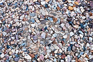 Background of different sizes and colors of wet sea pebbles, stones, beach rocks.