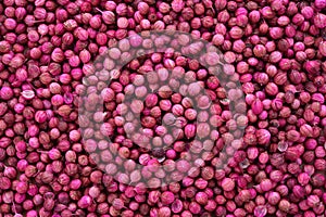 Background of dried coriander seeds