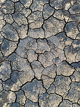 Background of dried cracked earth