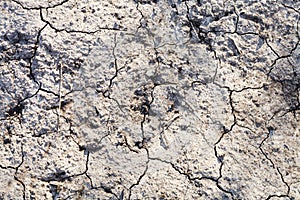 Background from dried ground in garden