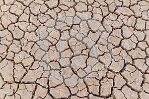 Dried mud cracks