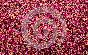Background of dried rose petals