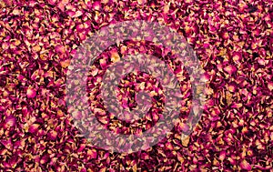 Background of dried rose petals photo