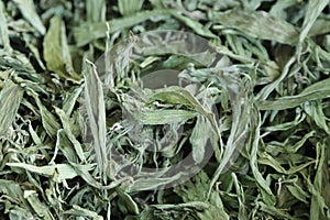 background of dried stevia