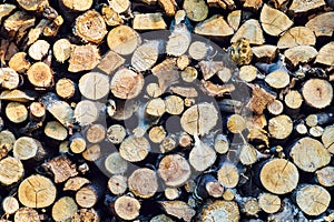 Background of dry chopped firewood logs in a pile oak and pine