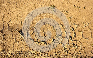 Background of dry cracked earth, parched earth, texture of earth dirt, desert, global warming, climate change