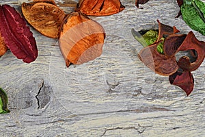 Background of dry flowers, leaves and petals on classic white background. Colorful background image. Top view. Flat lay