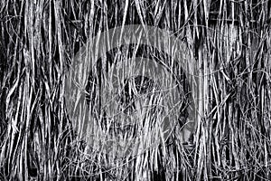 Background of dry hay grass piles for the theme of farming.