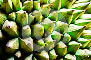 Background of durian fruit thorns