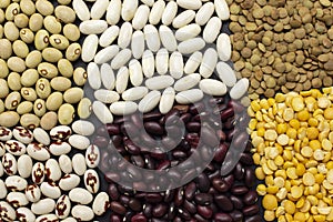 Background of dyfferent types of beans