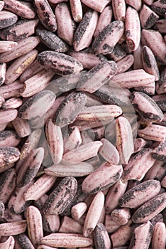 The background of eating Red rice for a healthy diet, gluten free diet, vertical photo