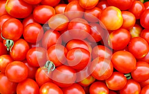 Background with ecological cherry tomatoes