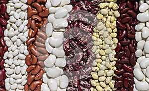 Background of eight varieties of beans