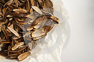 Background empty Sunflower seed shells