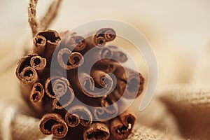 Background from ends of cinnamon sticks in macro
