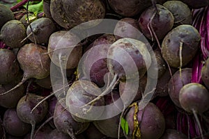 Background of environmentally friendly beets of GMOs on the market