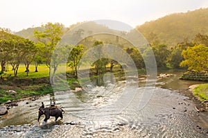 Background of evening river landscape