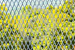 Background of Expanded Metal