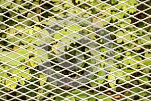 Background of Expanded Metal