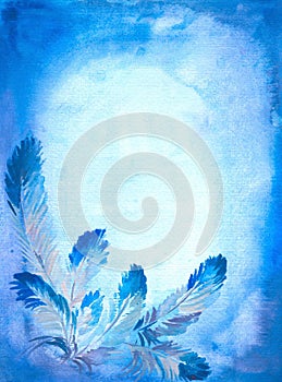 Background with feathers