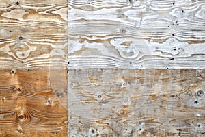 Gray and Brown Plywood with Worn White Paint Background Texture - Add Your Own Text photo