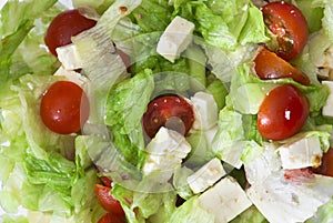 Background of fetta salad photo