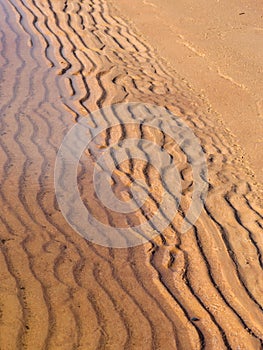 Background from fine and wet sand, sand textures