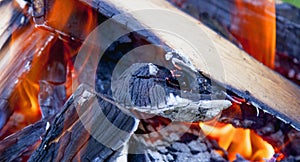 Background of fire as a symbol of eternal torment