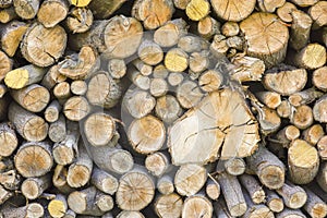 A Background of Firewood Logs Stacked Artistically.