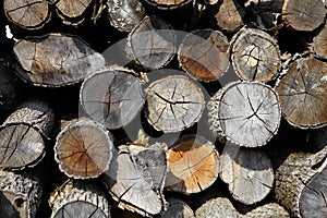 Background of firewood stacked in the woodpile