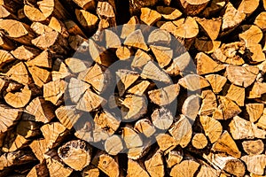 Background of firewood texture