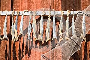 Background fishing net and dried fish hanging on a piece of wood.