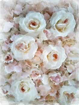 Background and floral texture  on canvas oil painting of white roses and petals
