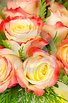 Background of florist hybrid tea rose arrangement with greens