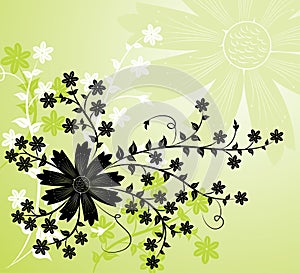 Background flower, elements for design, vector