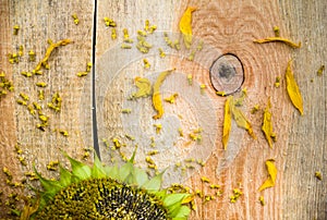 Background flower sunflower seeds wooden countertop