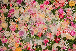 Background from flowers. Blooming spring texture.