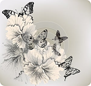 Background with flowers pansies and butterflies. V