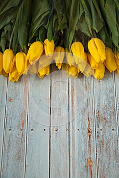 Background with flowers. Tulips in a bouquet white and yellow on a wooden blue background. Gifts for International Women`s Day,
