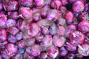 Background food texture of fresh raw red onions