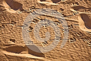 Background foot prints in sand