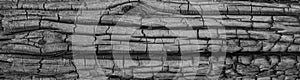 Background in the form of a texture fragment of an old burnt wood