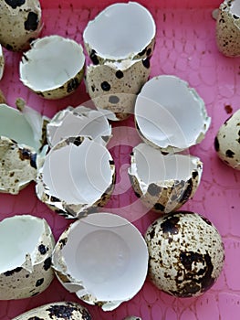 background of fragile eggshell broken in half