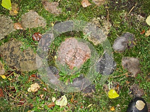 Background. fragment. texture. the old road is paved with wild stone, cobblestones. landscape design, natural style.