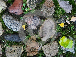 Background. fragment. texture. the old road is paved with wild stone, cobblestones. landscape design, natural style.