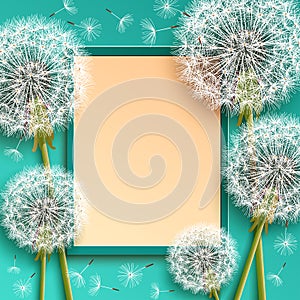 Background with frame and dandelions