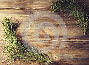 Background frame with pine tree branch on old wooden background board